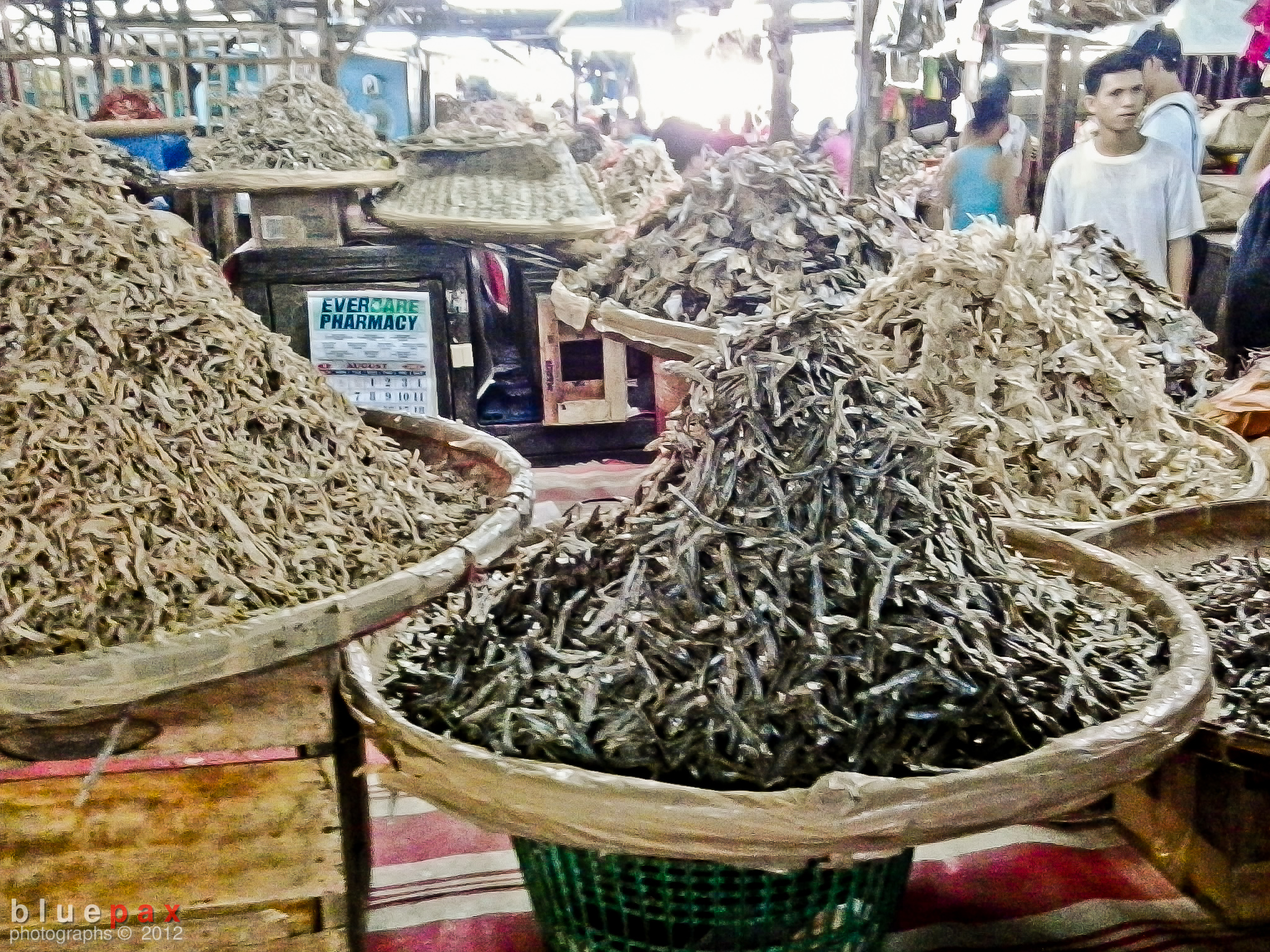 Large woven baskets overflowing with mounds of dried fish and anchovies fill the foreground of a busy covered market stall, with a vendor and pharmacy signage visible in the background.